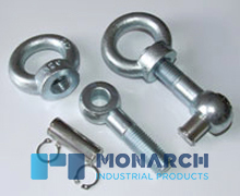 Swing Eye Bolts with Pins and Clips
