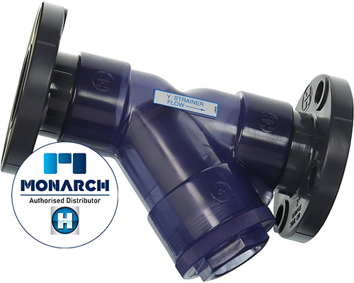 Hayward PVC Y Strainer